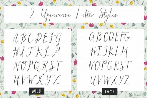 Hollyhock Calligraphy Font
