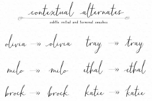 Hollyhock Calligraphy Font