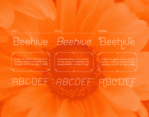 Honeycomb Font