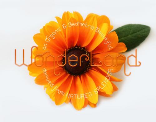 Honeycomb Font