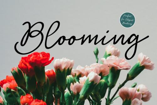 Huh Girls Script Font Free