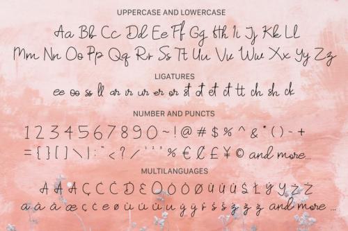Hummingbird Handwritten Font