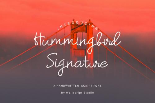 Hummingbird Handwritten Font