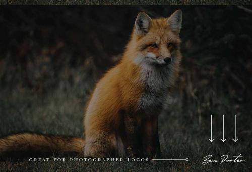 Hunter River Font Free