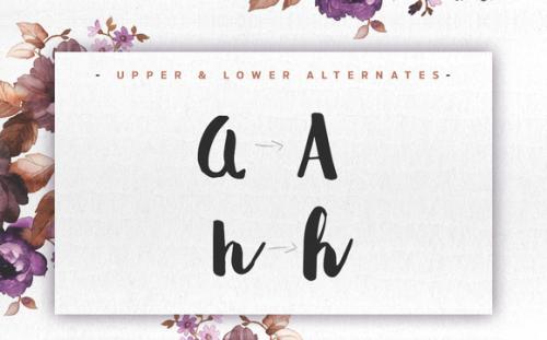 Huxley Brush Script Font