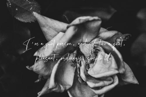 Intervensi Elegant Signature Font