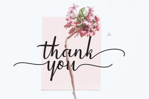 Jackpot Calligraph Font