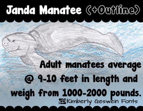 Janda Manatee Font