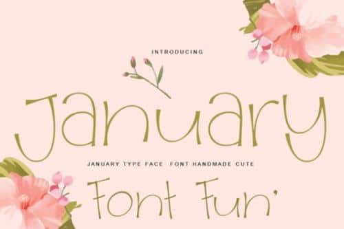 January Display Font