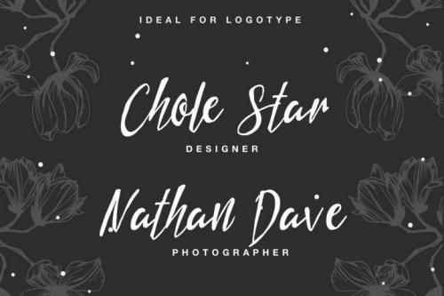 Jasper Brush Font
