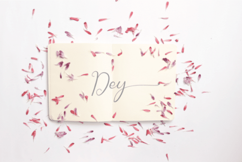 Jelia Elbern Calligraphy Font