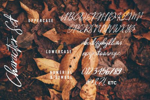 Josephine Handwritten Font