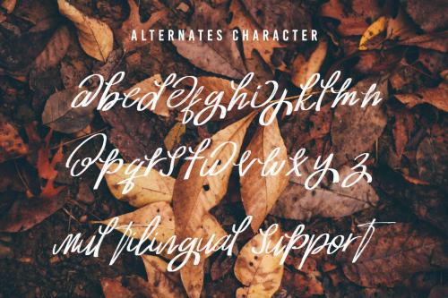 Josephine Handwritten Font