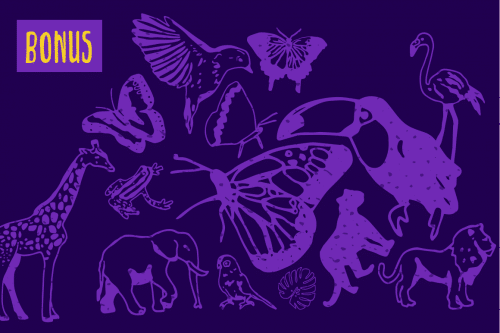 Jungle Handmade Font