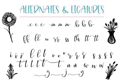 Just Write Hand Lettered Font