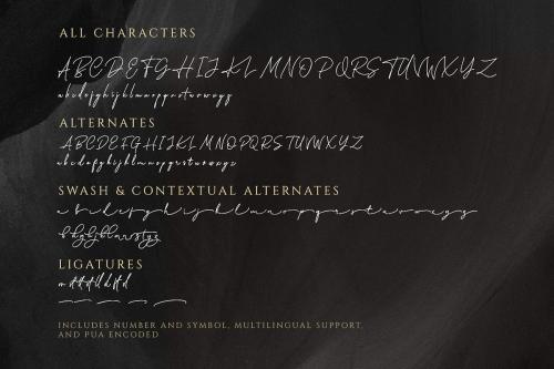 Katherine Signature Script Font 9