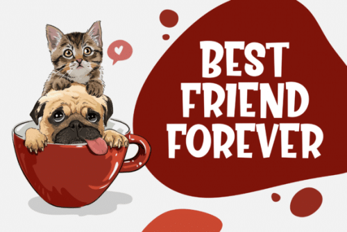 Kiddie Land Display Font