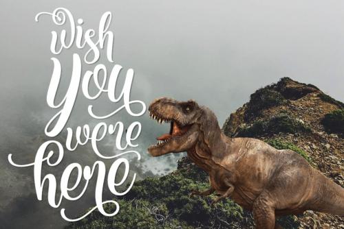 Kite Script Font