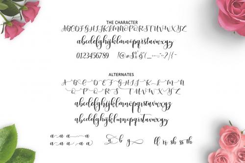 Ladies Script Font