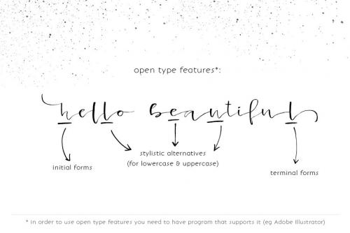 Lancaster Calligraphic Font
