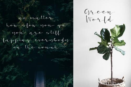 Lancaster Calligraphic Font