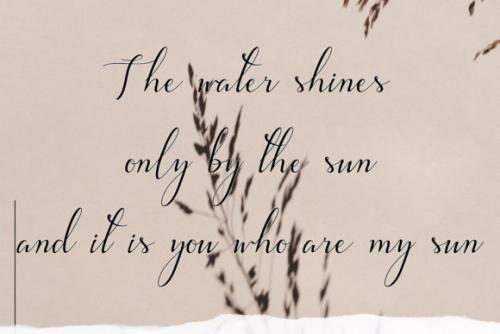 Larisa Calligraphy Font