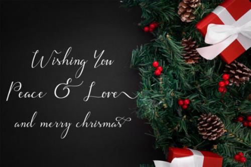 Larisa Calligraphy Font
