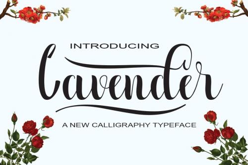 Lavender Script Font