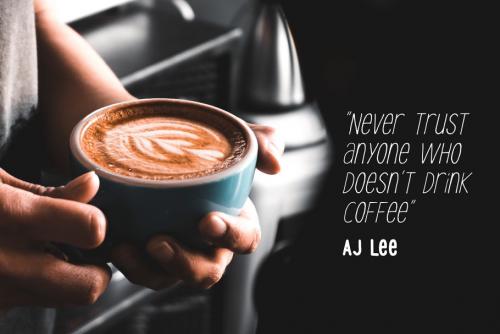 Le Havre City Script Font