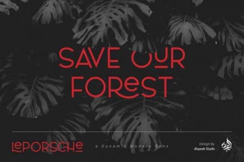 Le Porsche Sans Font