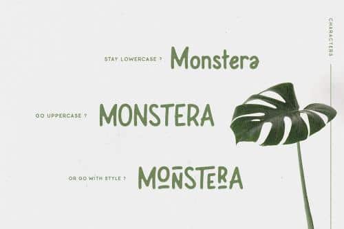 Leafy Plant Sans Font