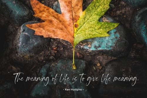 Light Brighter Brush Font