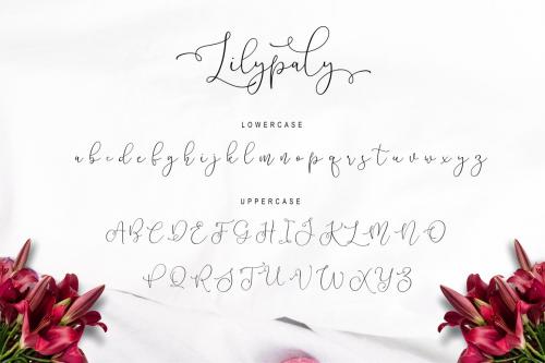 Lilypaly Handlettering Font