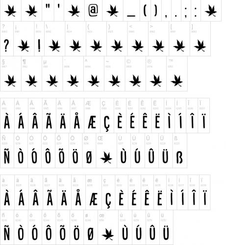 Liquid Amber Font Free Download