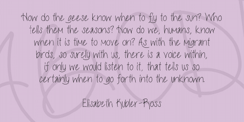 Live Laugh Love Font