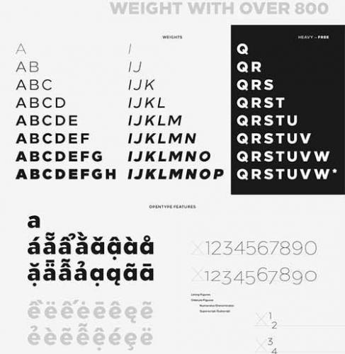 Loew Font Family