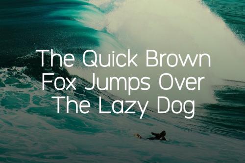 Logico Sans Font Family