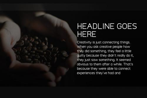 Logico Sans Font Family