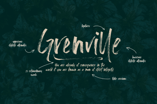 Loutters Handwritten Brush Font