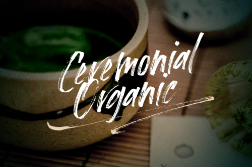 Loutters Handwritten Brush Font