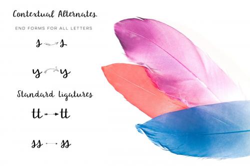 Lovely Nirvana Script Font