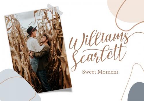 Lover Bunny Script Font