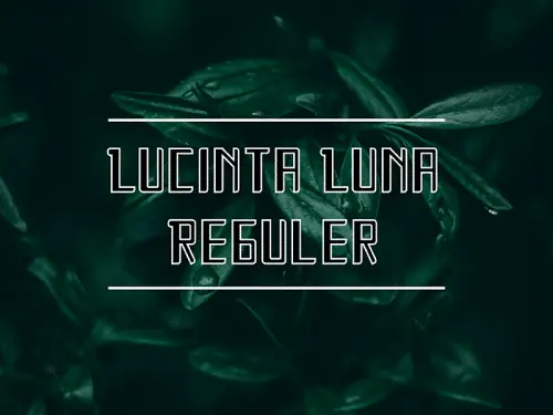 Lucinta Luna Font