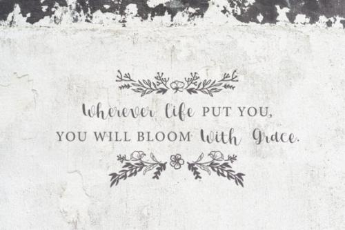 Lucky Walter Handwritten Font