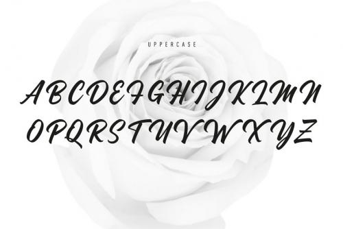 Madame Script Font