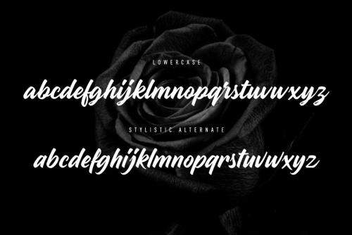 Madame Script Font