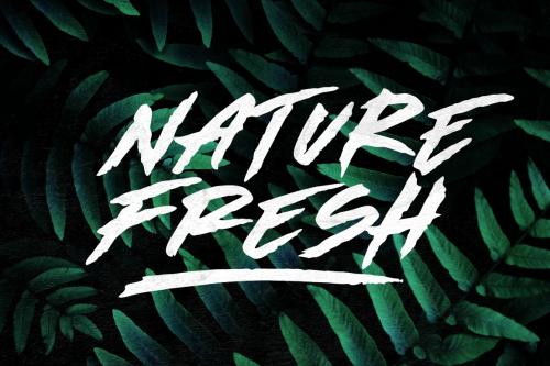 Made By Bears Brush Font