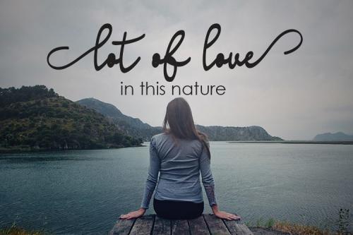 Madison Script Font