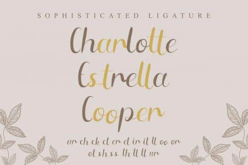Maeryn Script Font