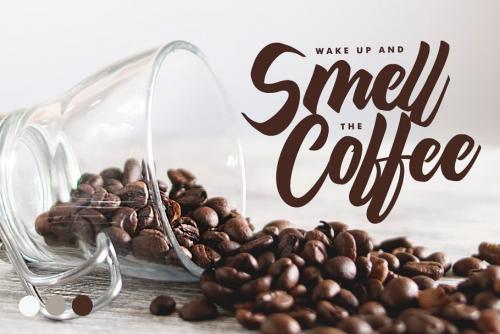Maghody Bold Script Font